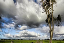 紧致抗老护肤品排行榜