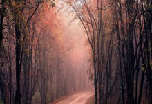 免费素材库大全搞笑,免费的搞笑素材库视频