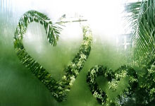 图片素材从哪找,图片素材从哪找出来