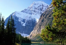 免费素材视频素材库是免费的吗,免费的视频素材网站推荐