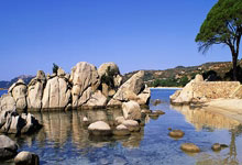 价目表设计模板图免费,价目表模板图片免费下载